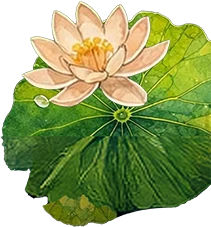 Lotus flower on a lily pad